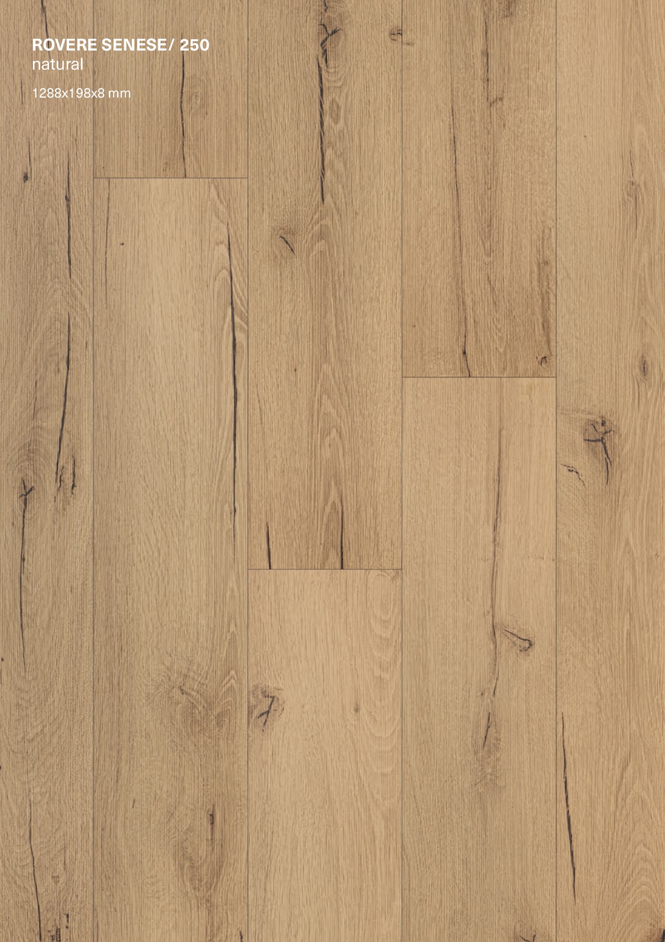 Laminato FACILE+ AC4  1288x198x8 mm - confezione:  10 - 2,550 mq